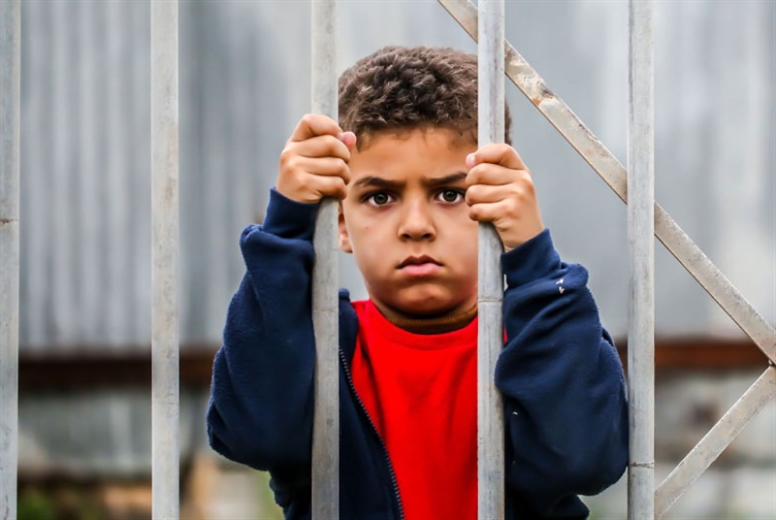 Hundreds of global artists call on 'Israel' to end Gaza siege