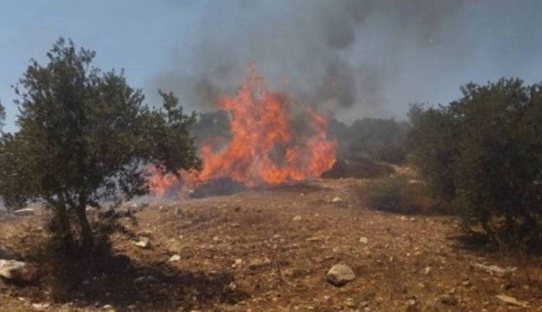 Settlers set hundreds of Dunums in West Bank on fire