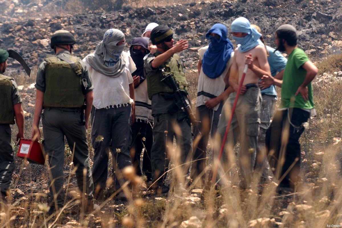Settlers set fire to Palestinian crops in occupied West Bank