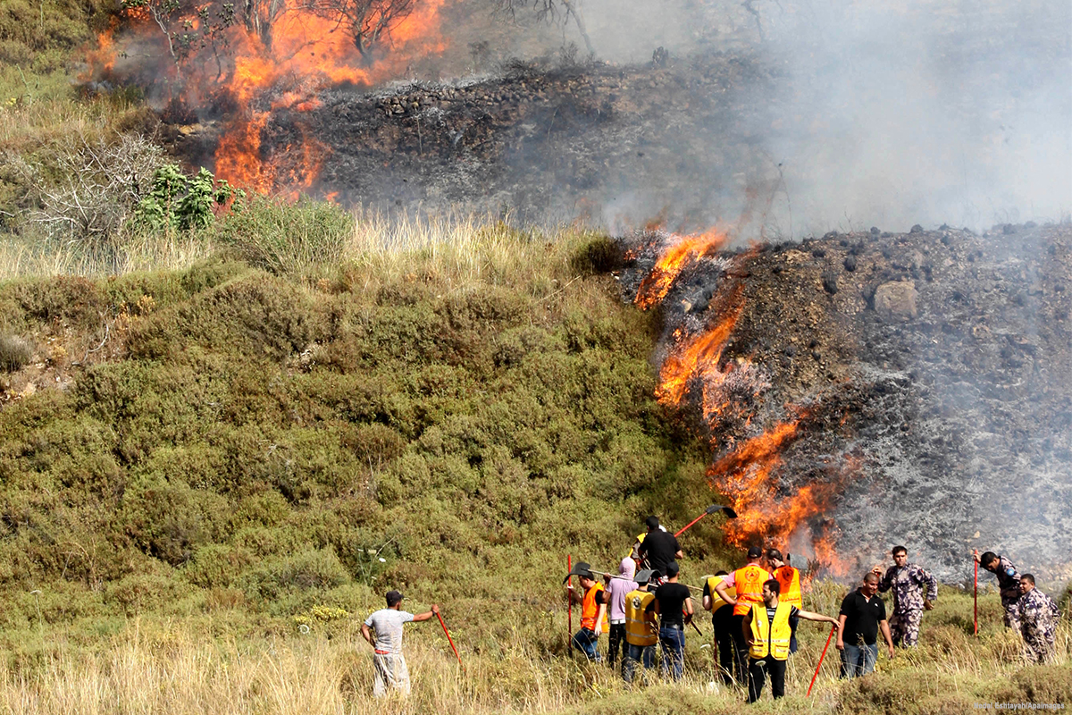 Israeli settlers set agricultural lands on fire in Nablus