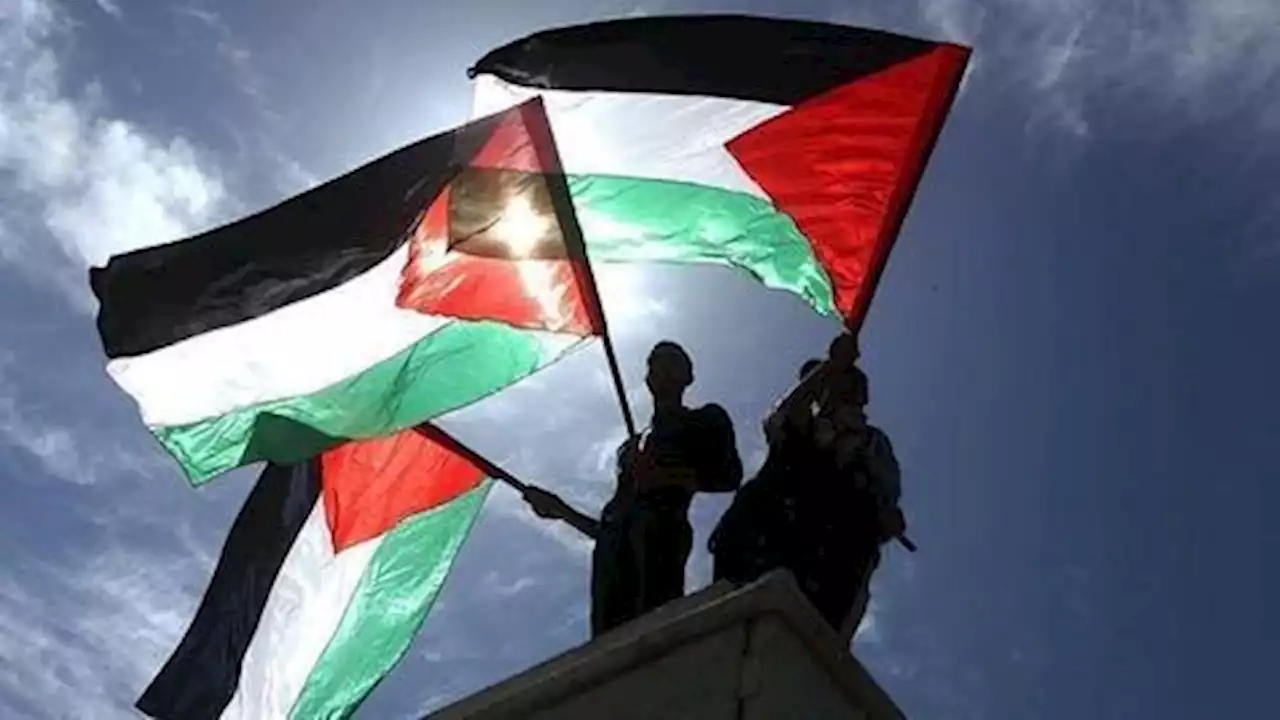 Pro-Palestine activists mark 53rd anniversary of Naksa Day