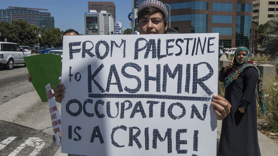 Activists hold Zoom meeting on situation in Kashmir and Palestine