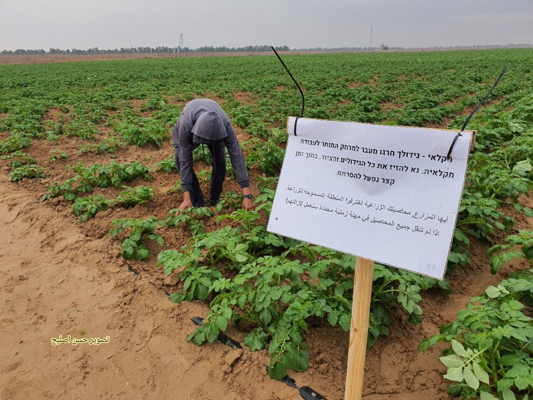 We will remove your corps, said Israeli forces