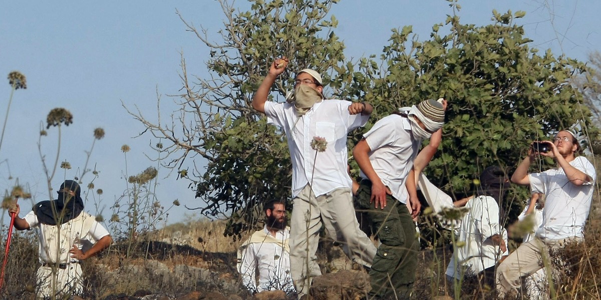 Israeli settlers uproot dozens of olive saplings east of Hebron