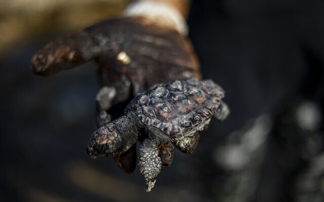 WSJ report: 'Israel' bombed at least a dozens ships carrying Iranian oil in past to years