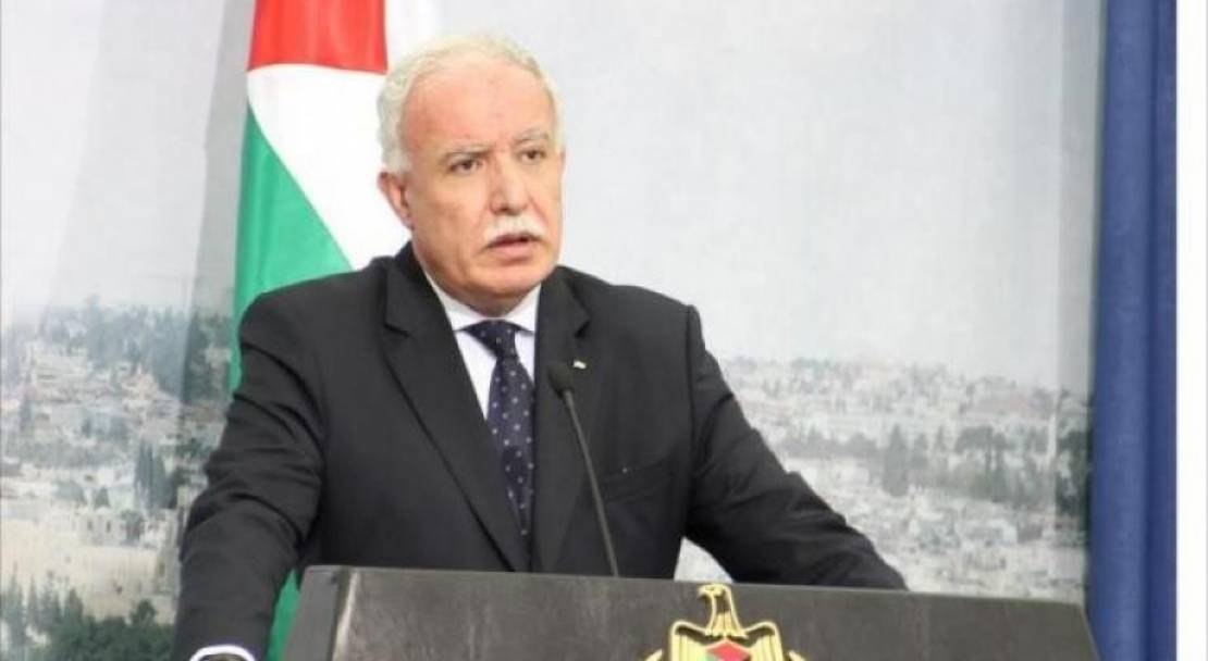 Foreign Minister welcomes UNHRC resolution on the situation in Palestine