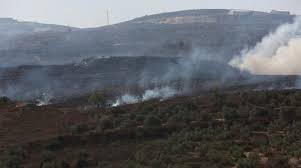Israeli settlers torch nearly 50 olive trees in south of occupied West Bank