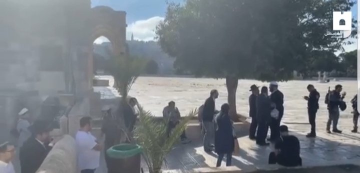 56 Israeli settlers storm Al-Aqsa Mosque in occupied Jerusalem, hours after "Flag March"