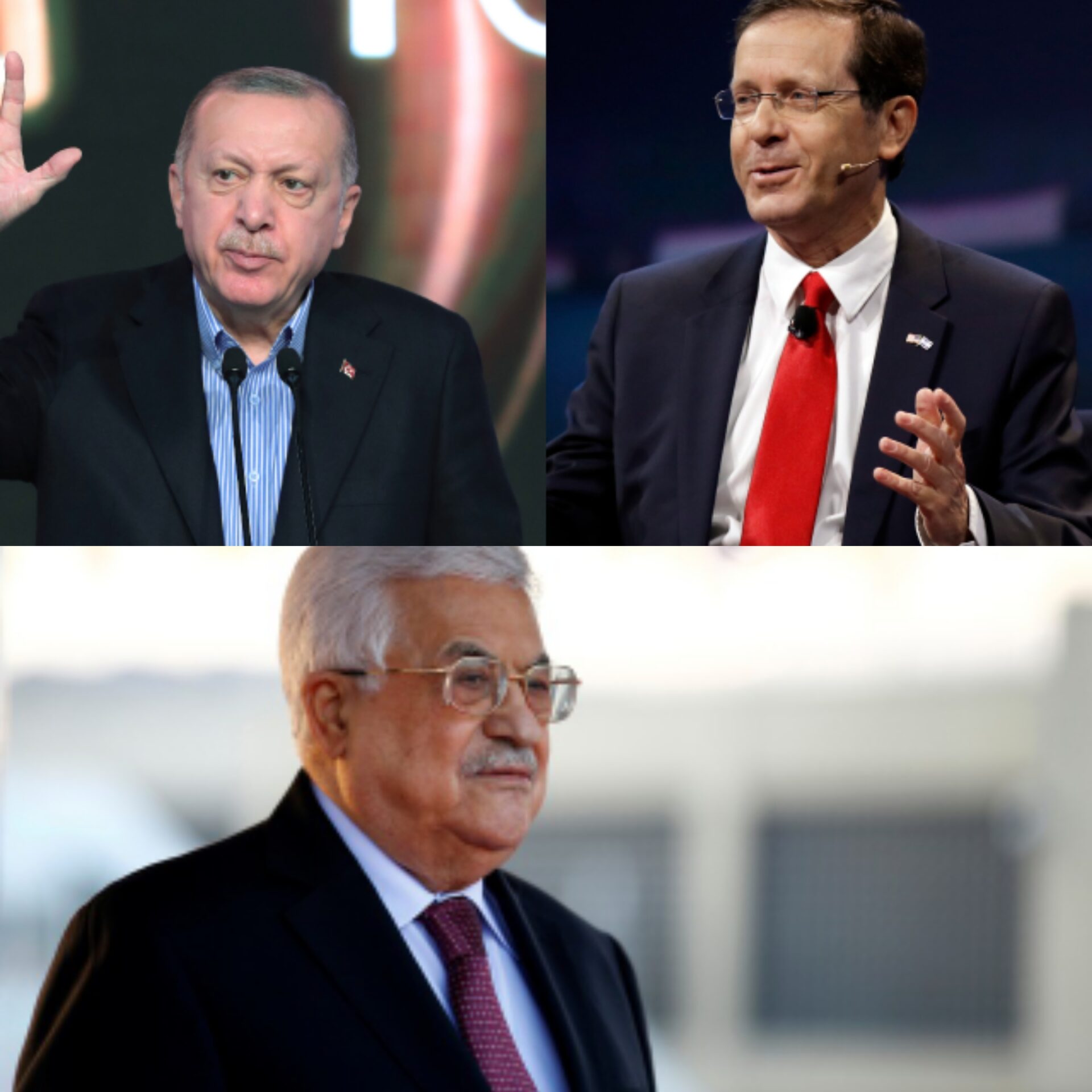 Abbas arranged phone call between Israeli and Turkish presidents, Israeli media says