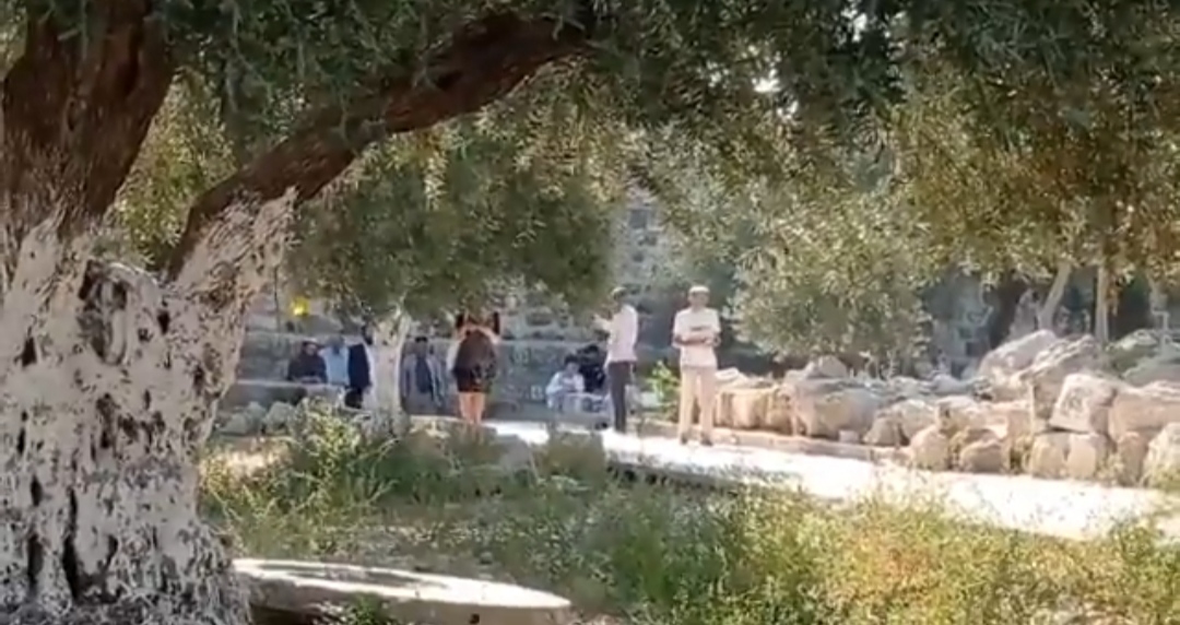 Dozens Israeli settlers storm Al-Aqsa Mosque in occupied Jerusalem