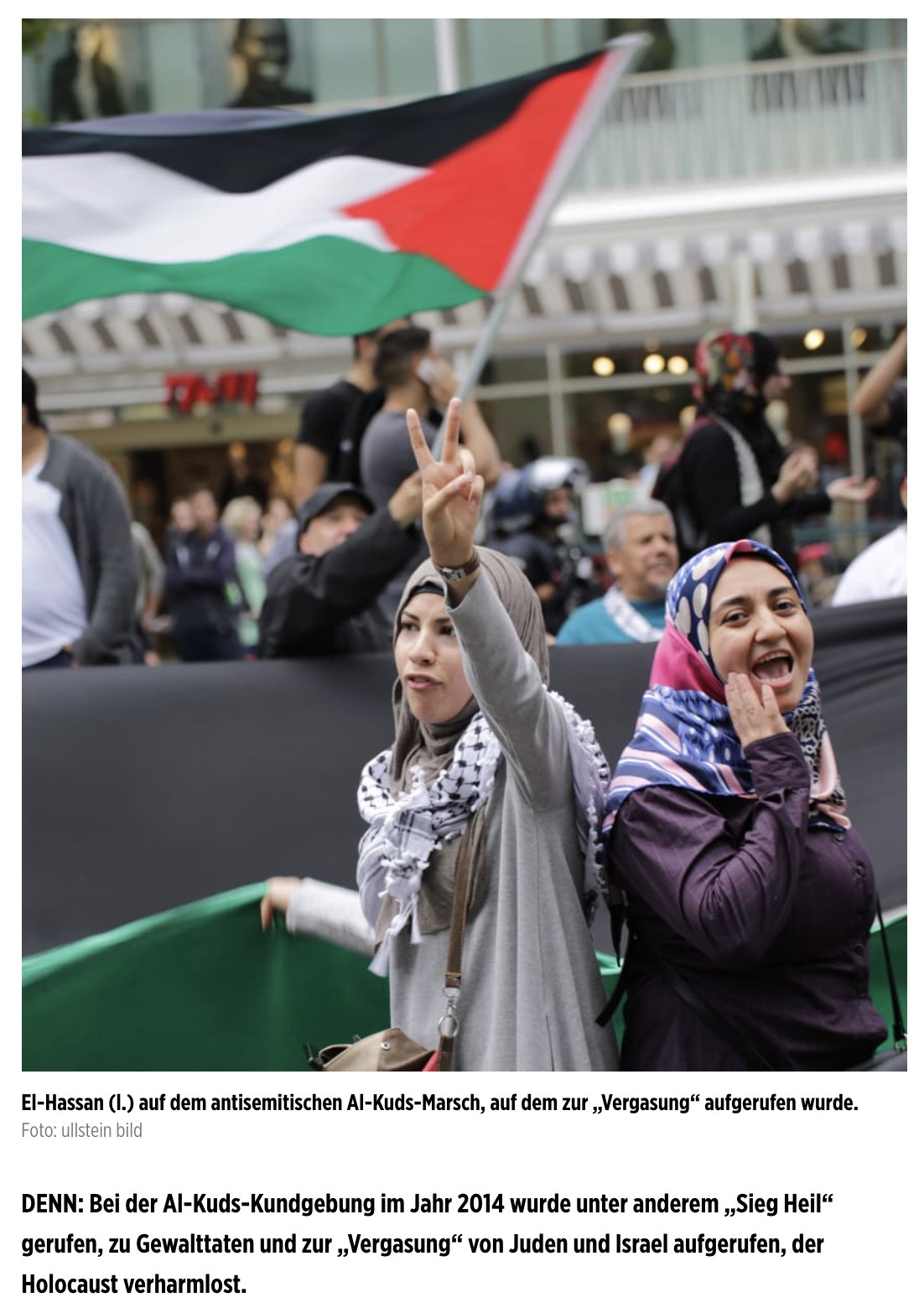 Journalist faces smear campaign over participating in pro-Palestine march in Berlin