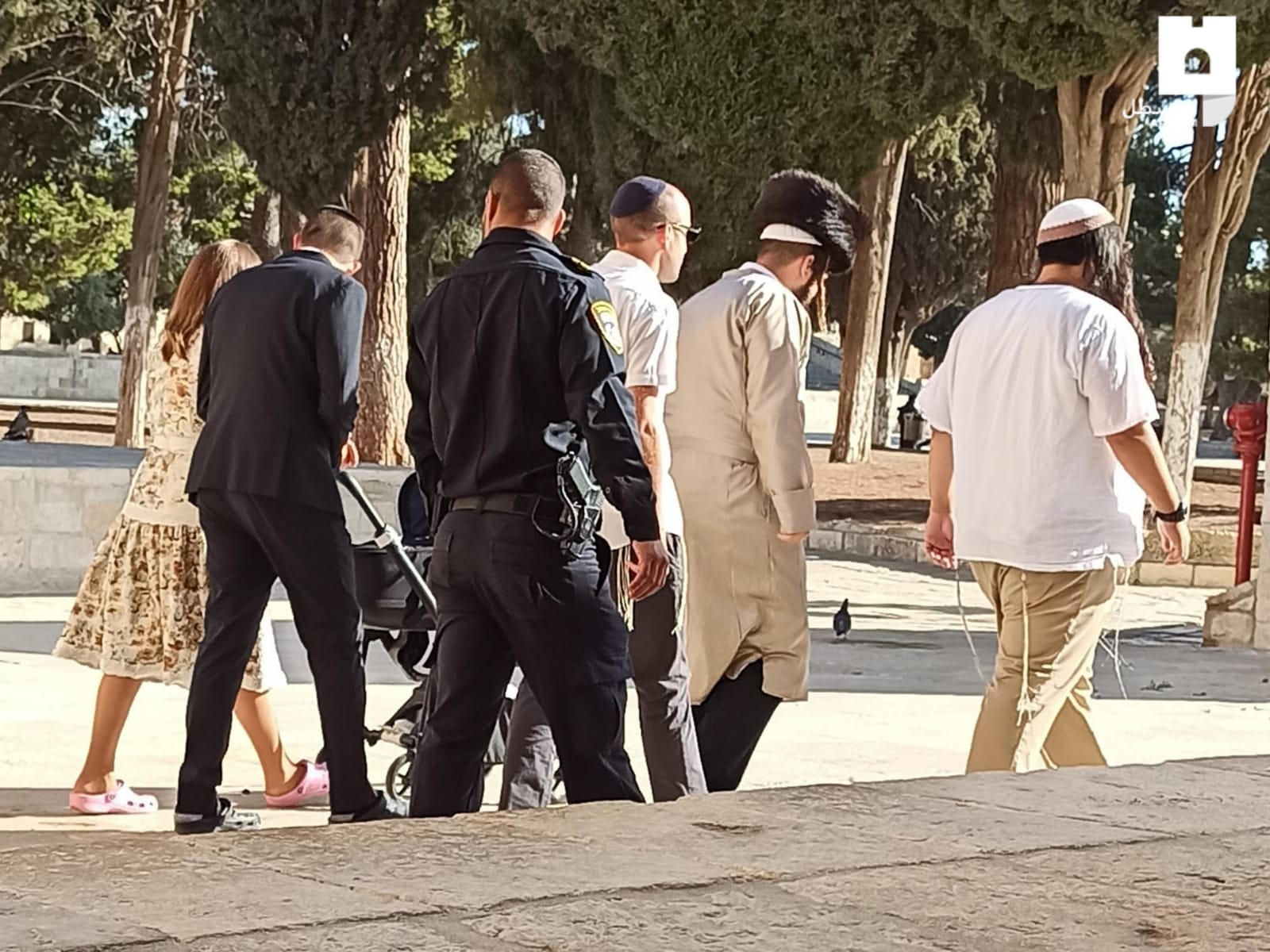 Video| Dozens extremist Israeli settlers break into Al-Aqsa Mosque