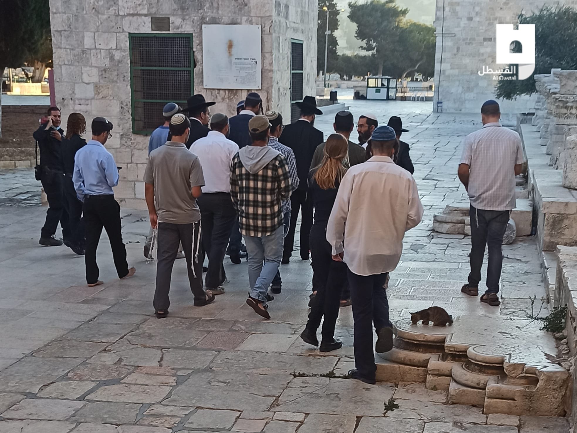 Over 50 Israeli settlers break into Al-Aqsa in less than 4 hours