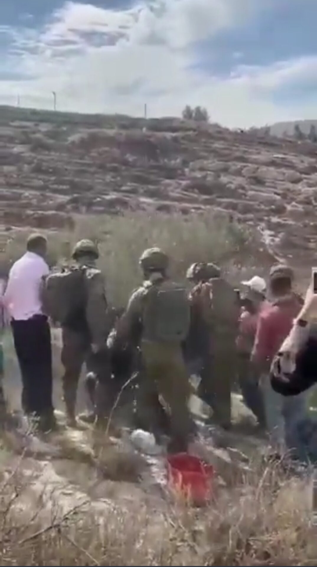 Video| Israeli forces assault Palestinians while harvesting olive crops in Salfit, beat man