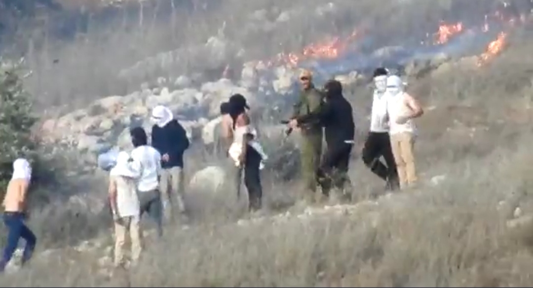 Yesh Din: Masked Israeli settlers stone Palestinian home, light brush fire nearby