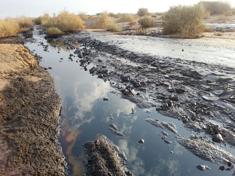 Israeli oil tanker indicted for polluting nature reserve