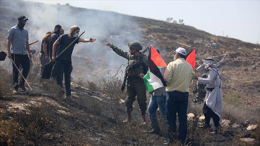 B'Tselem: Israel misappropriation of West Bank land through settler violence