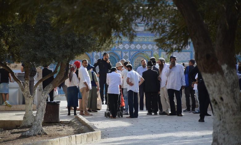 1816 extremist Israeli settlers broke into the Al-Aqsa Mosque in 8 days, watchdog says
