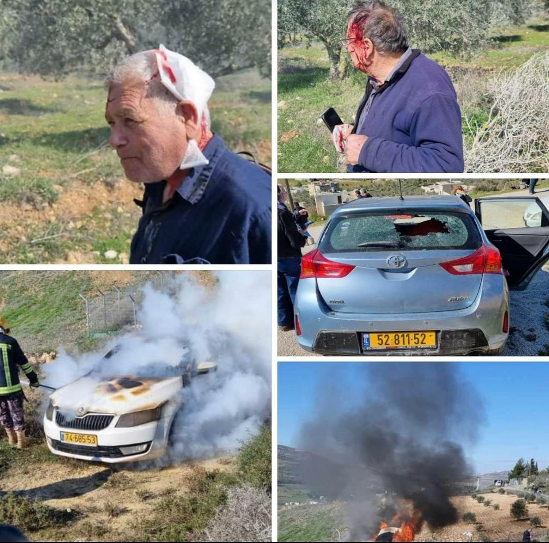 Masked Israeli settlers attack Israeli solidarity activists planting trees with Palestinian farmers