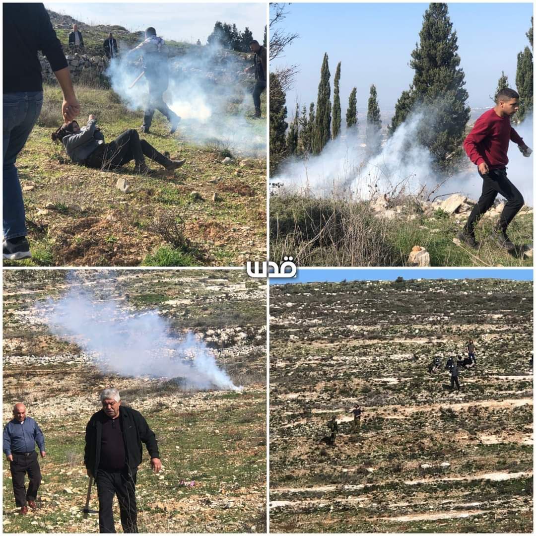 Backed by forces, Israeli settlers attack Palestinians in Burqa village