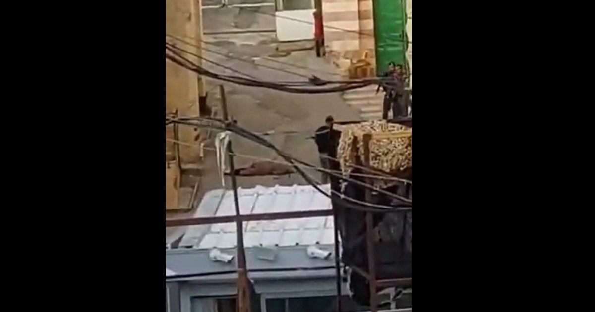 Israeli forces kill Palestinian woman after alleged stabbing attack in Hebron