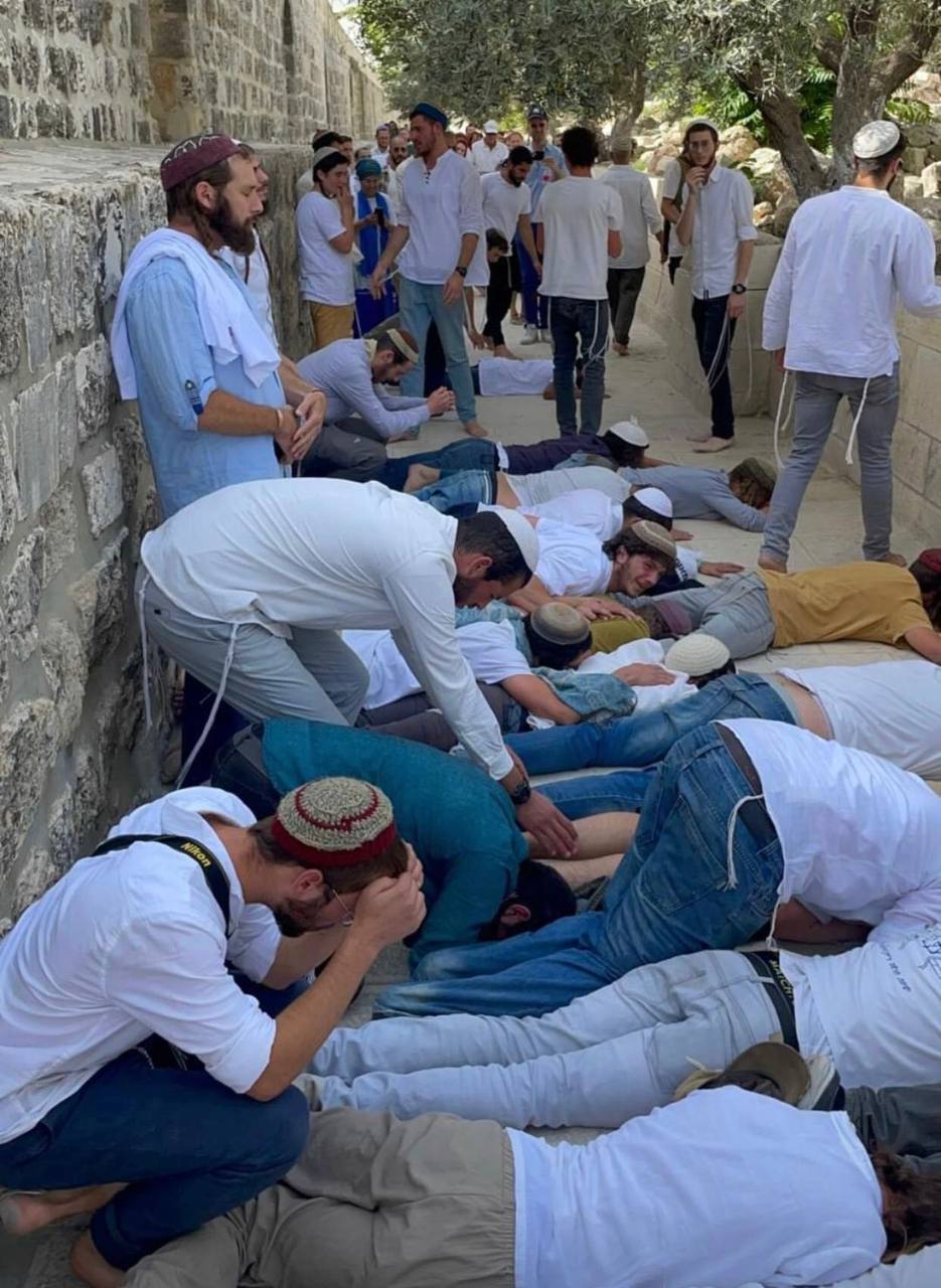 Guarded by Israeli forces, over 1044 colonial settlers break into Jeruslaem’s Al-Aqsa