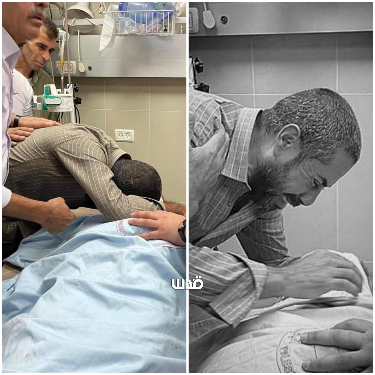 Four Palestinians killed by Israeli occupation forces within 24 hours in West Bank