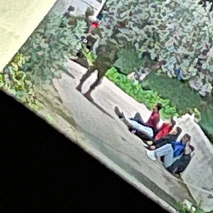 5 Palestinian children arrested by Israeli forces near Jenin