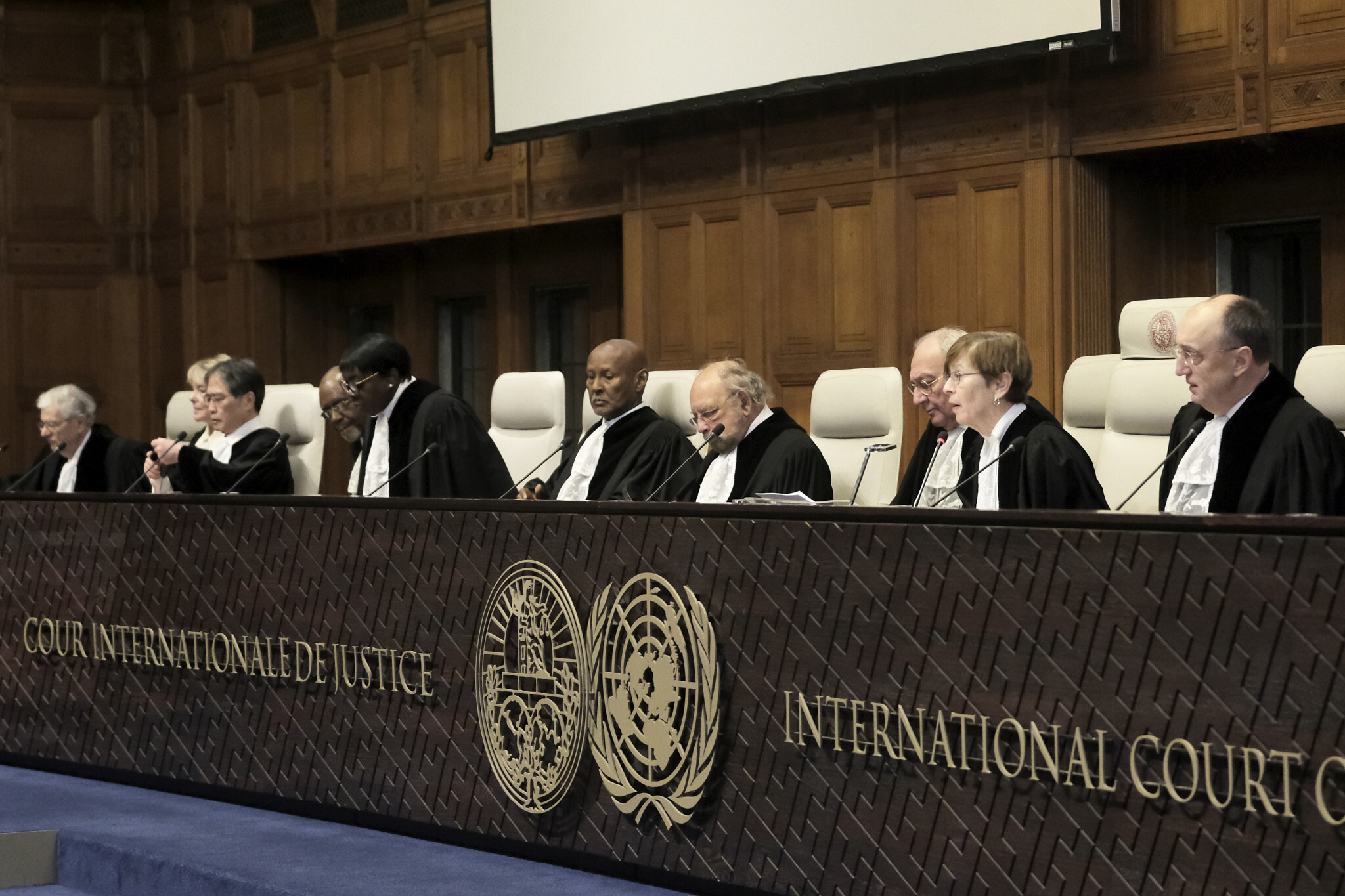South Africa applauds ICJ ruling urging Israel to prevent genocide in Gaza