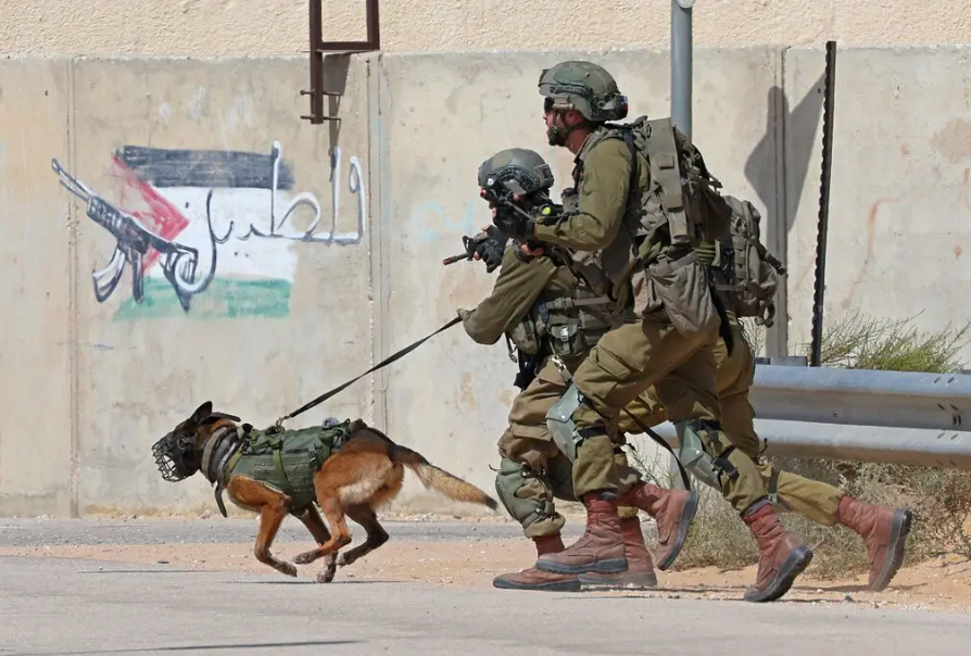 4-year-old child attacked, bitten by police dog accompanying Israeli troops in Balata