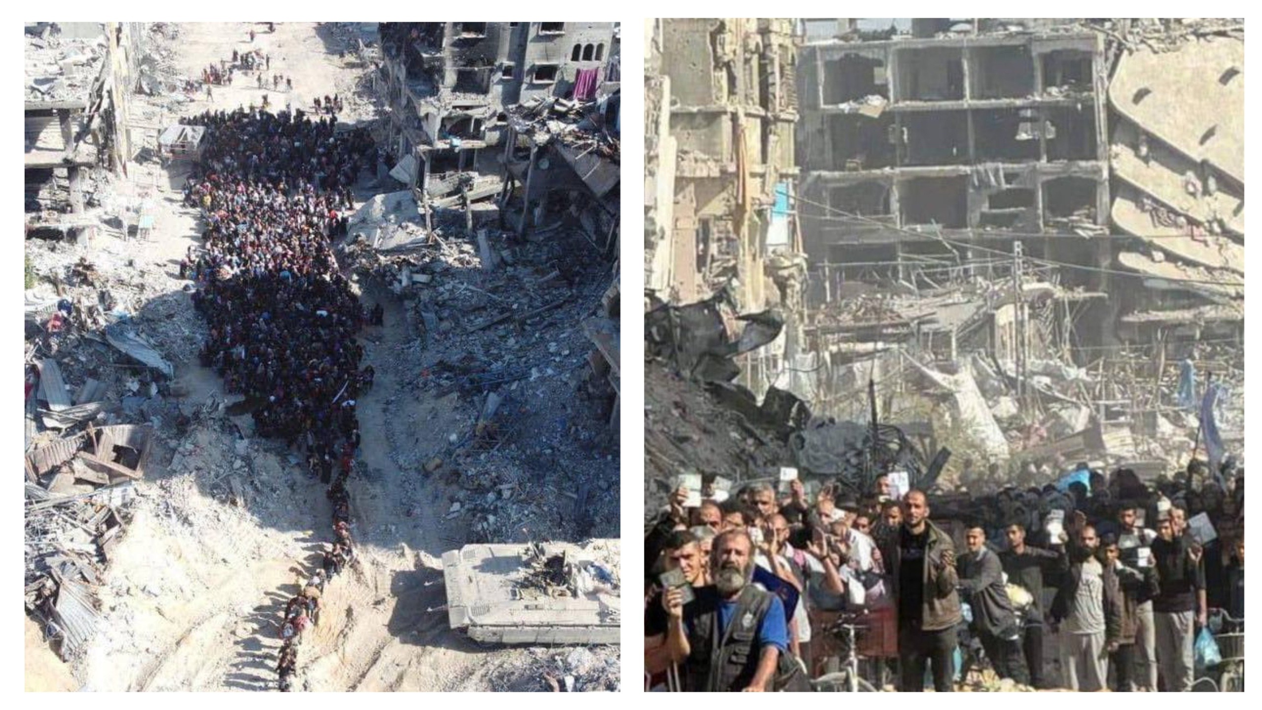 Israeli Forces Execute Seven Refugees in Gaza School, More Killed in Heavy Shelling