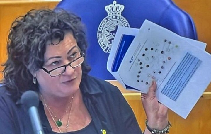 Dutch Security Agencies Raise Concerns Over Israeli Interference in Domestic Politics