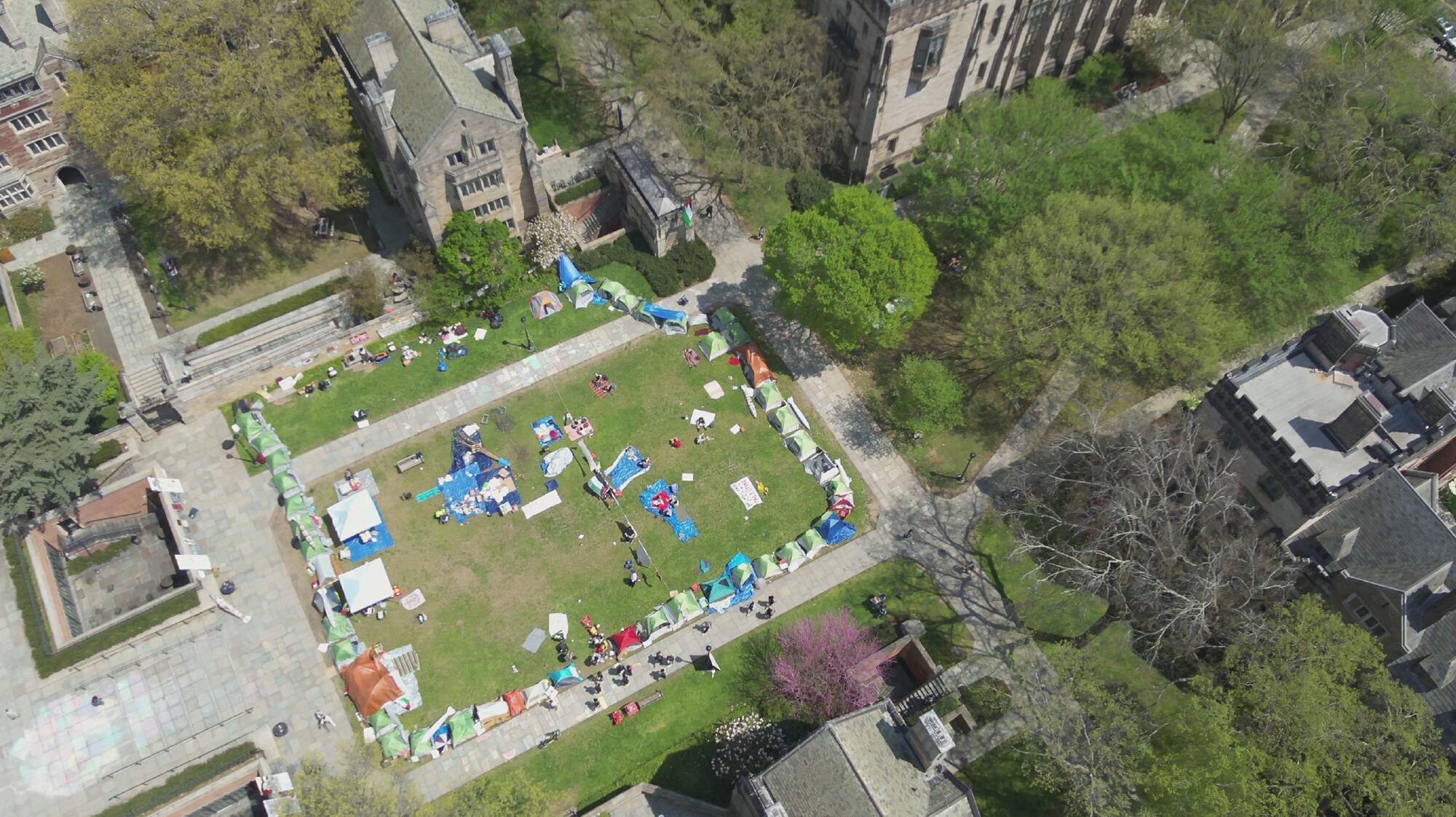 Yale Police Used Counterterrorism Tactics Against Peaceful Pro-Palestine Students, Report