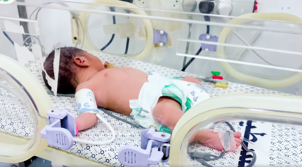 Three Newborns Die in Gaza From Cold as Israel Blocks Entry of Emergency Shelters