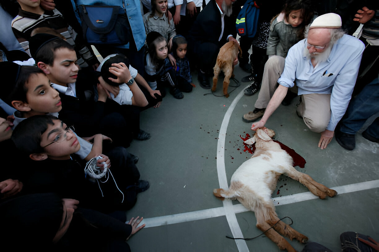 Video: Israelis Attempt to Sacrifice Animals at Al-Aqsa Mosque