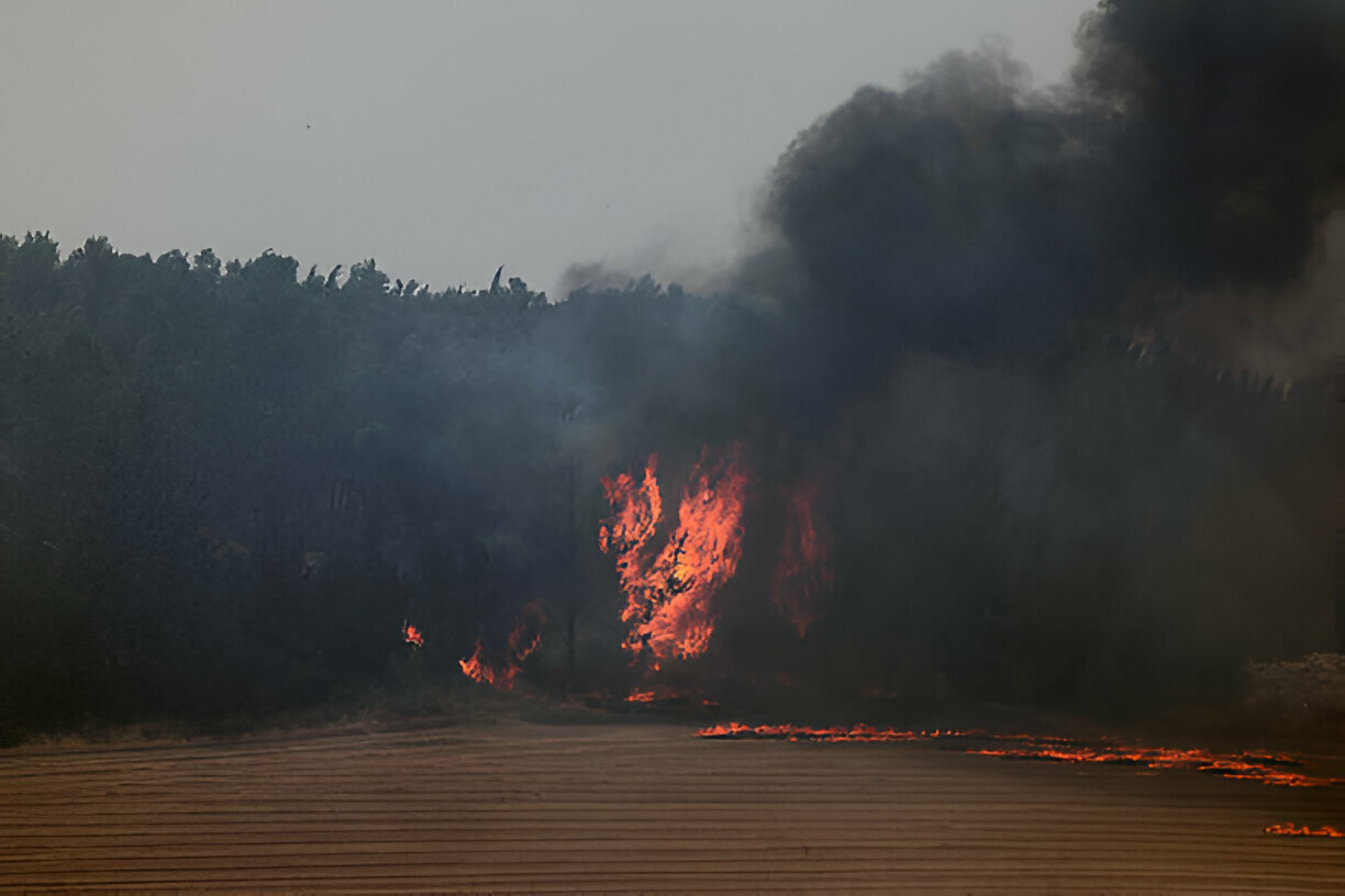 Greece and Cyprus Refuse to Send Firefighting Planes as Massive Blaze Rages in Israel