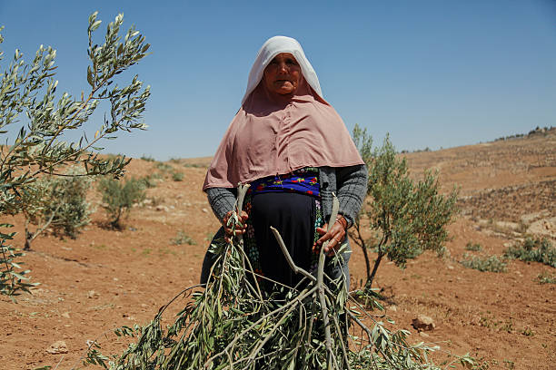 4 New Illegal Outpost Attempts in 24 Hours as Israeli Settler Violence Spikes Across West Bank