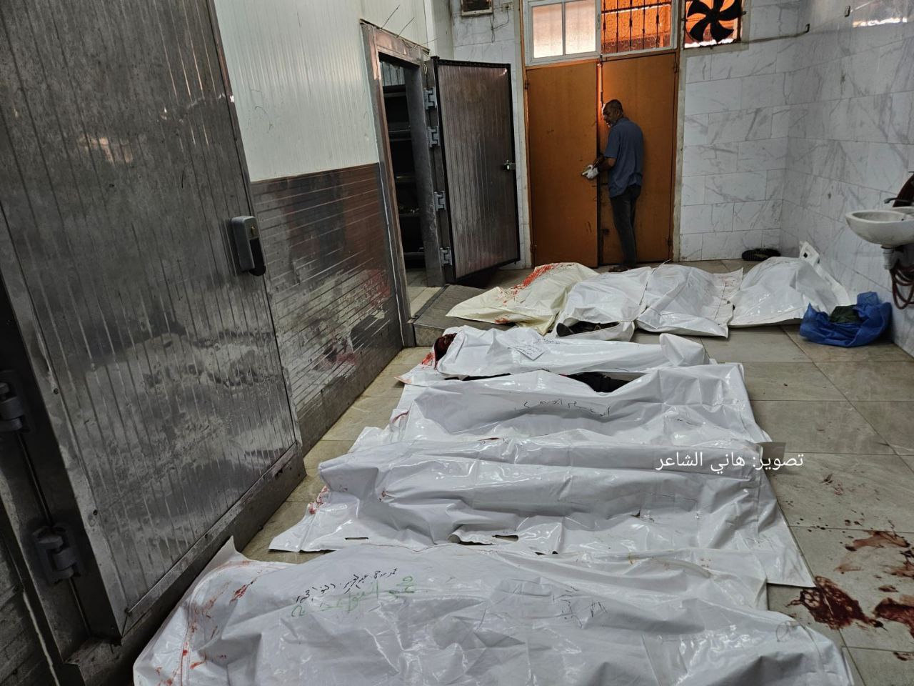 Gaza: Israeli Forces Open Fire on Starving Palestinians at US-Backed Aid Distribution Sites, Killing at Least 31