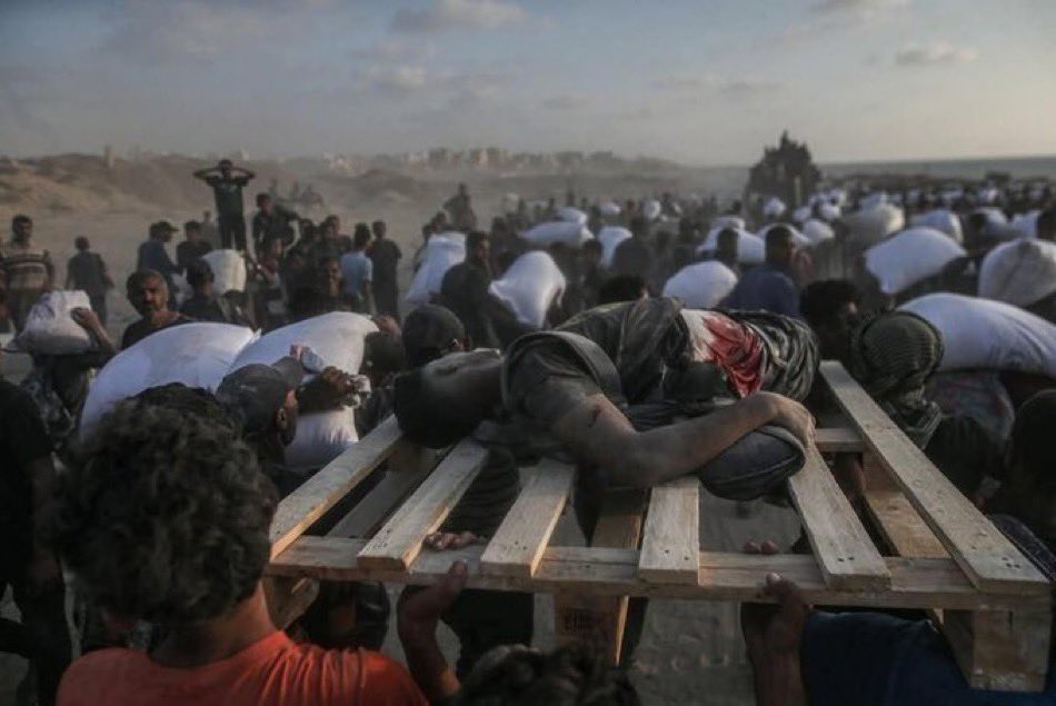 Daily Death Traps: 22 Aid Seekers Killed by Israeli Forces While Waiting for Food in Gaza