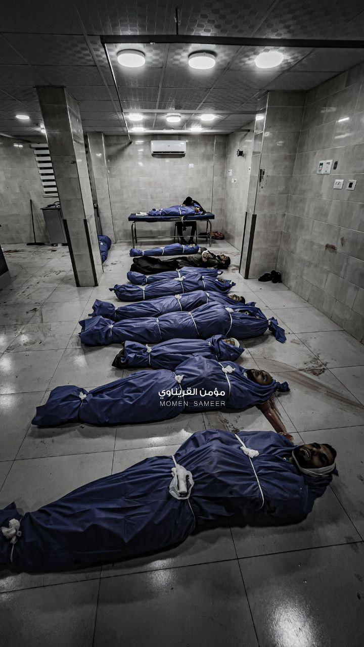 Gaza: 288 Civilians Killed in 59 Massacres by Israeli Forces in Just 100 Hours