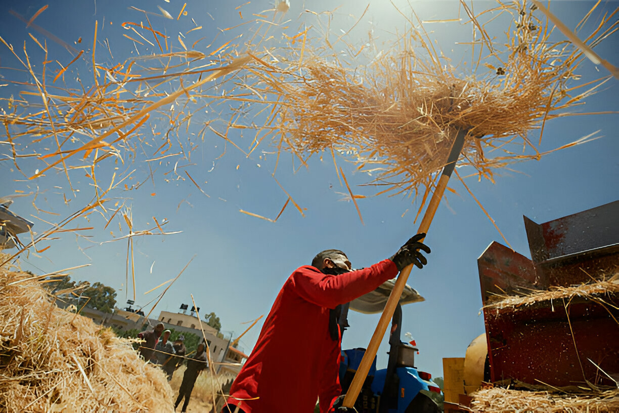 Erasing Food Sovereignty: Israel’s Attack on West Bank Agriculture Peaks with Seed Bank Raid