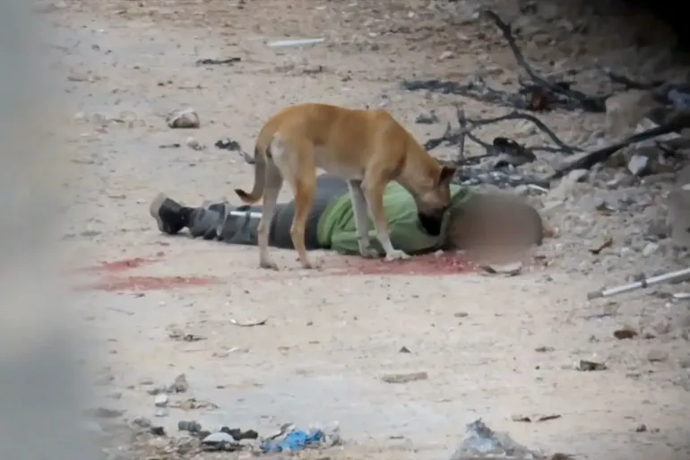 Gaza Civil Defense: Israel Prevents Rescue Teams While Dogs Scavenge Victims’ Bodies