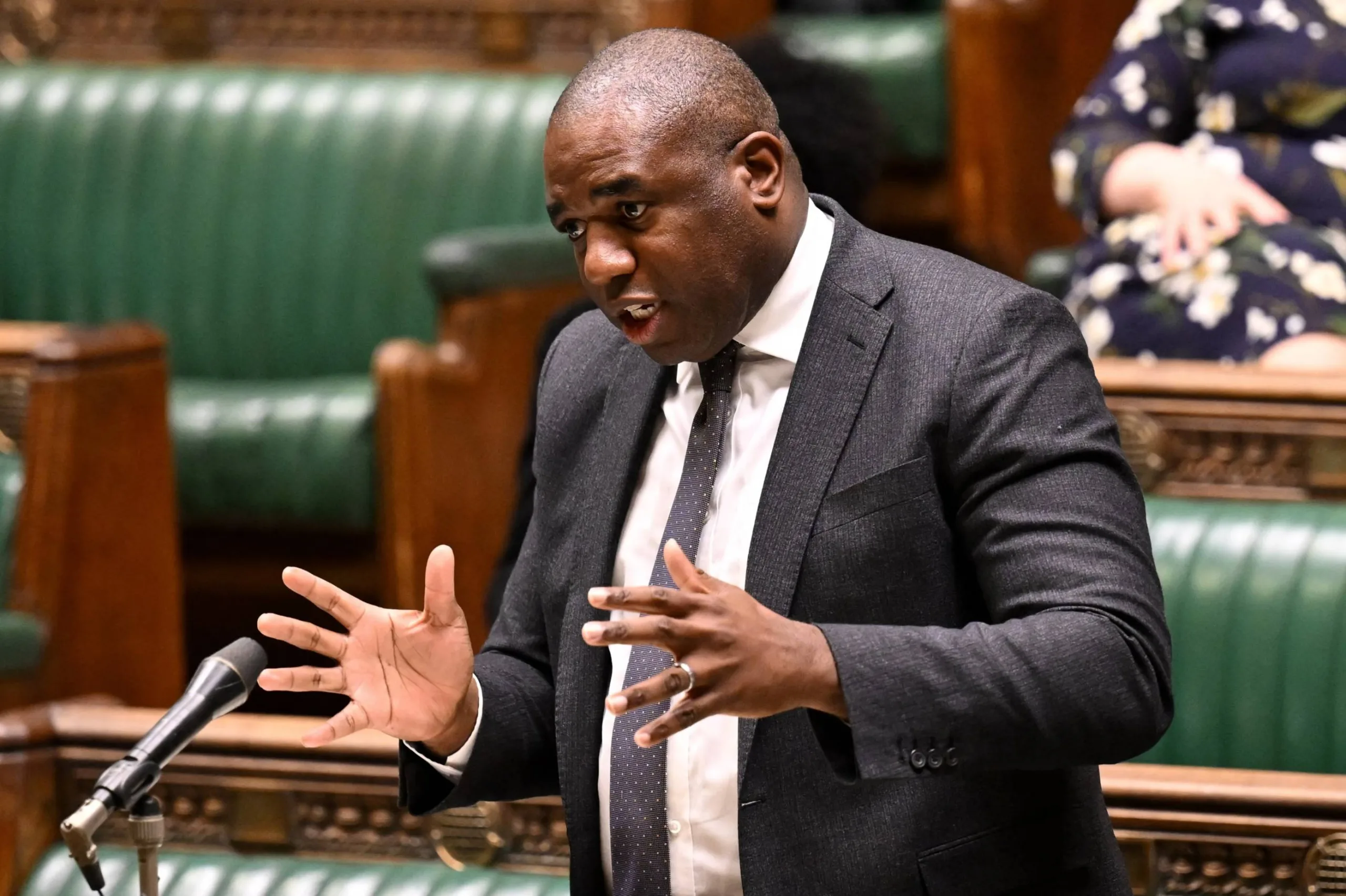 David Lammy Expresses “Outrage” at Israel: "We Must Stop the Famine in Gaza"