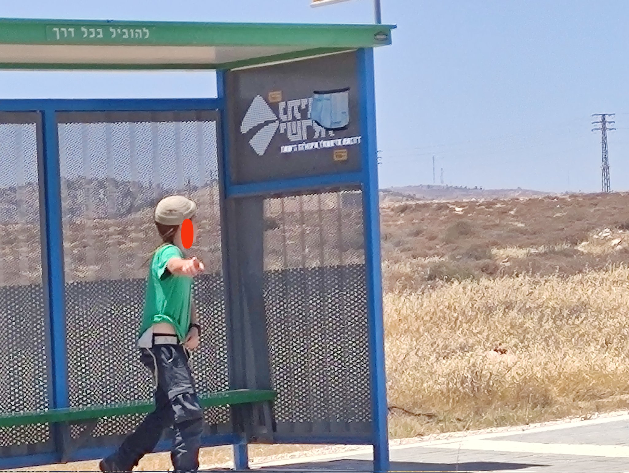 Haaretz: Settlers Use an Army of Israeli Minors to Harass and Expel Native Palestinians from Their Villages