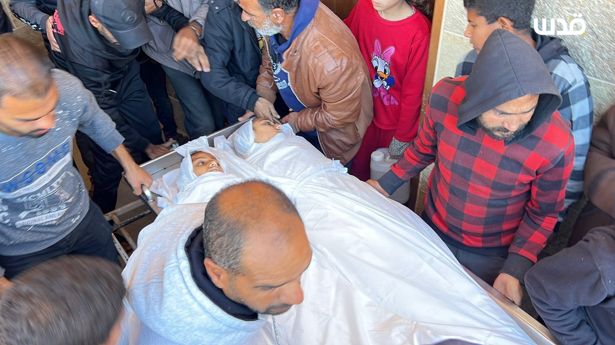 Israeli Ceasefire Violations in Gaza Reach 1,520 as Death Toll Rises to 556 in 115 Days