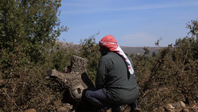 From Gaza to Lebanon to Syria: Israeli Army’s Chemical Spraying Expands, Scorching Border Farmland in Quneitra to Expand Buffer Zone