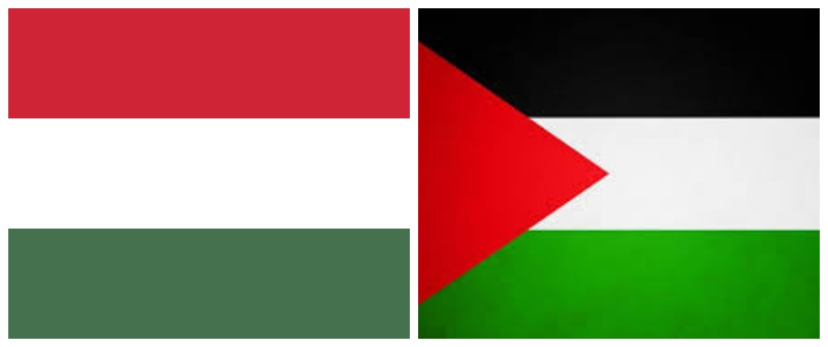 Israeli Forces Confiscate Hungarian Flag at Protest, Citing Resemblance to Palestinian Flag