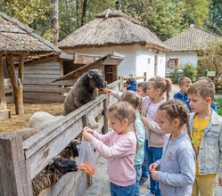 Екскурсія до українського села 
