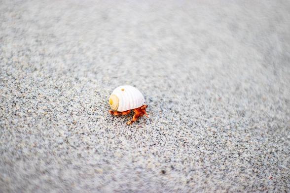 Errors in Rust: A Deep Dive 