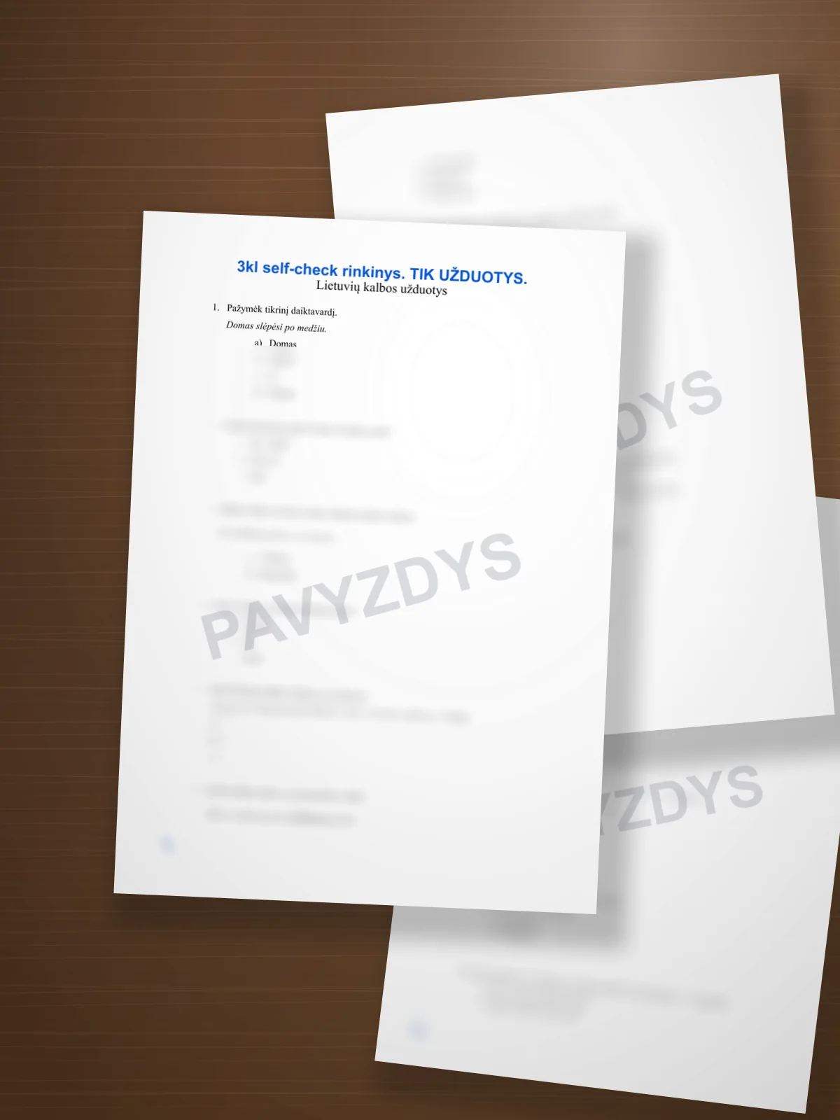 3 klasės self-check rinkinukas | Žinių lygio diagnostika